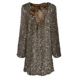 PIECES PIECES Damen Kleid PCKAM Restudsalg Morel Silver sequins