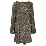 PIECES PIECES Damen Kleid PCKAM Restudsalg Morel Silver sequins